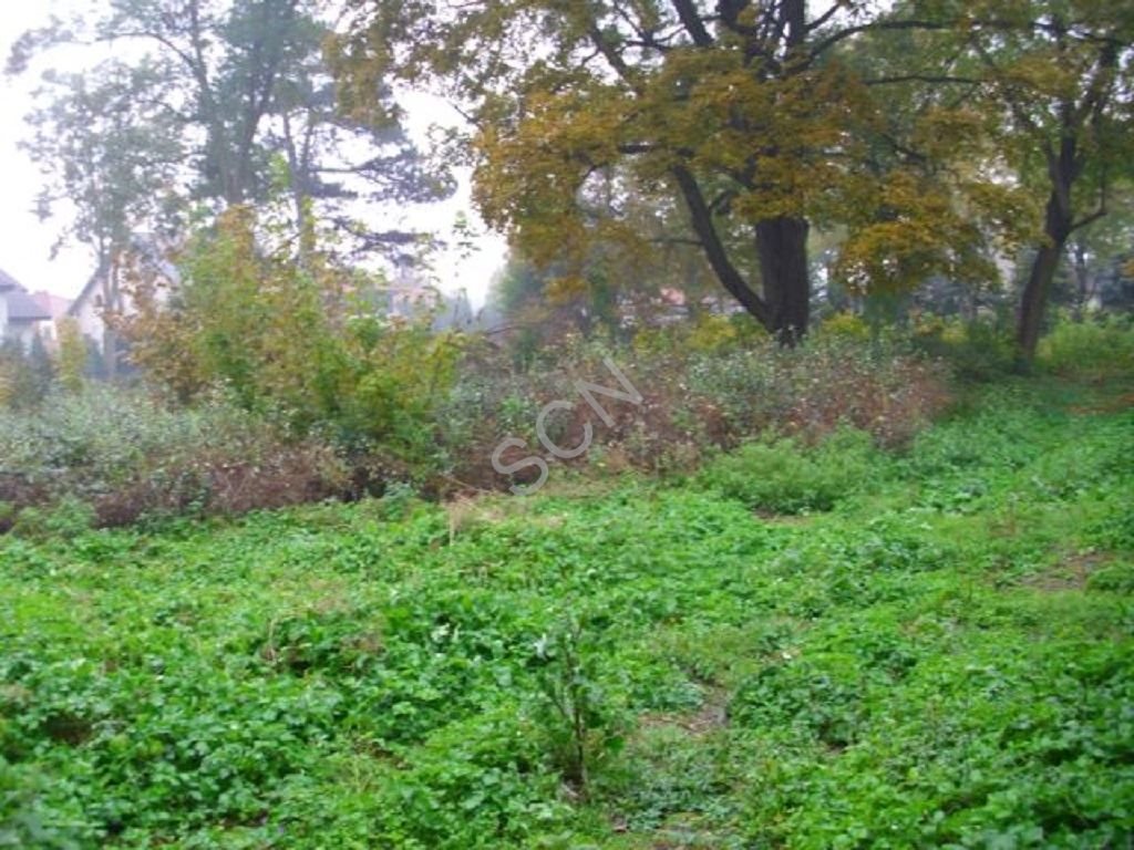 Działka budowlana na sprzedaż Warszawa, Wawer  3 500m2 Foto 2