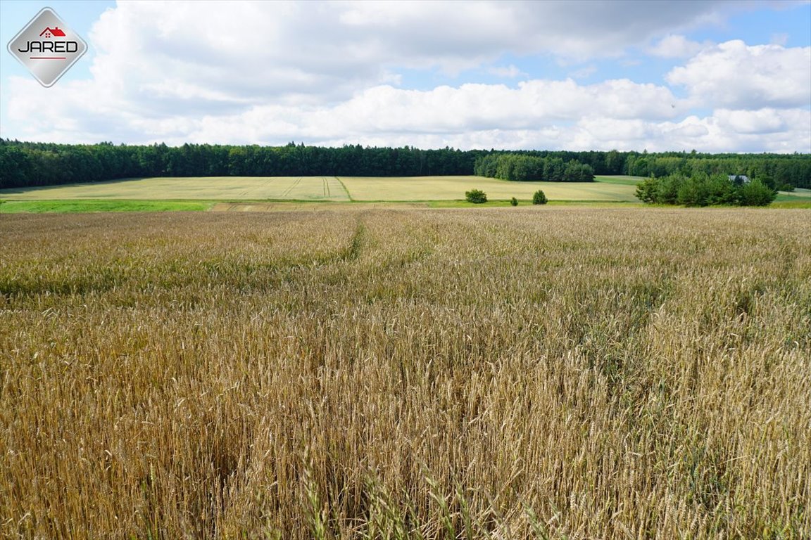 Działka budowlana na sprzedaż Osmolice Pierwsze  1 700m2 Foto 2