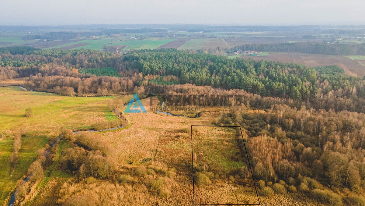 Działka rolna na sprzedaż Górne Maliki  7 500m2 Foto 2