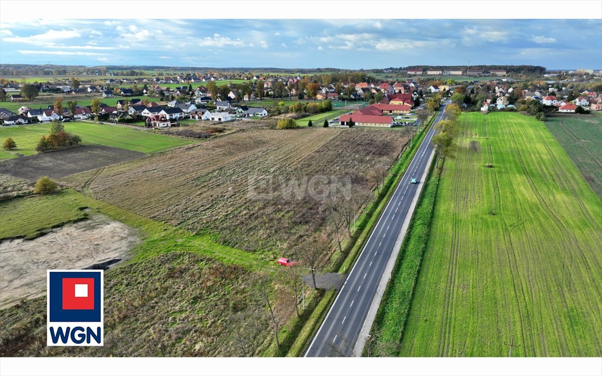 Działka inwestycyjna na sprzedaż Kruszyn, Główna  10 000m2 Foto 2