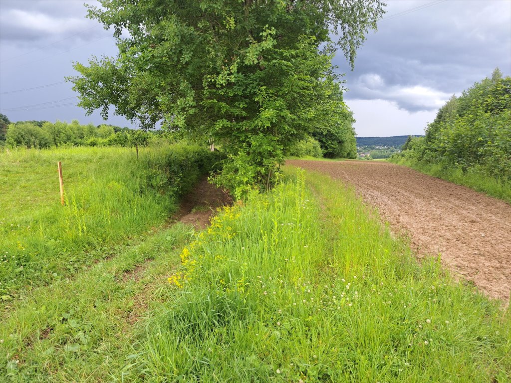 Działka rolna na sprzedaż Sieklówka  8 575m2 Foto 9