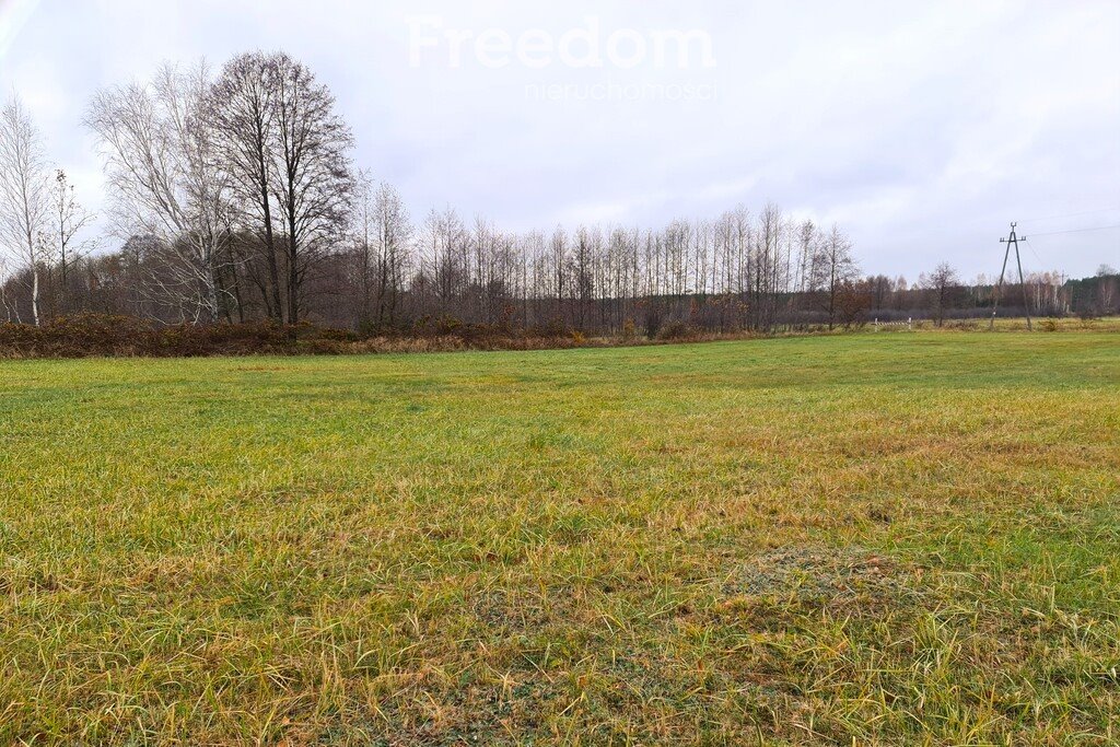 Działka siedliskowa na sprzedaż Łosiewice  33 300m2 Foto 3