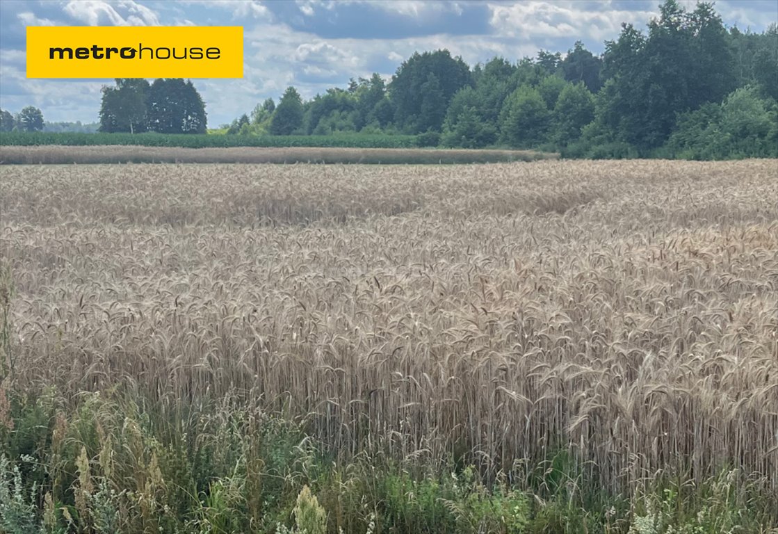 Działka inna na sprzedaż Karwacz  2 900m2 Foto 1