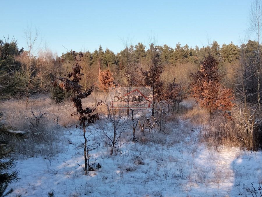 Działka inna na sprzedaż Nowy Żelechów  25 800m2 Foto 6