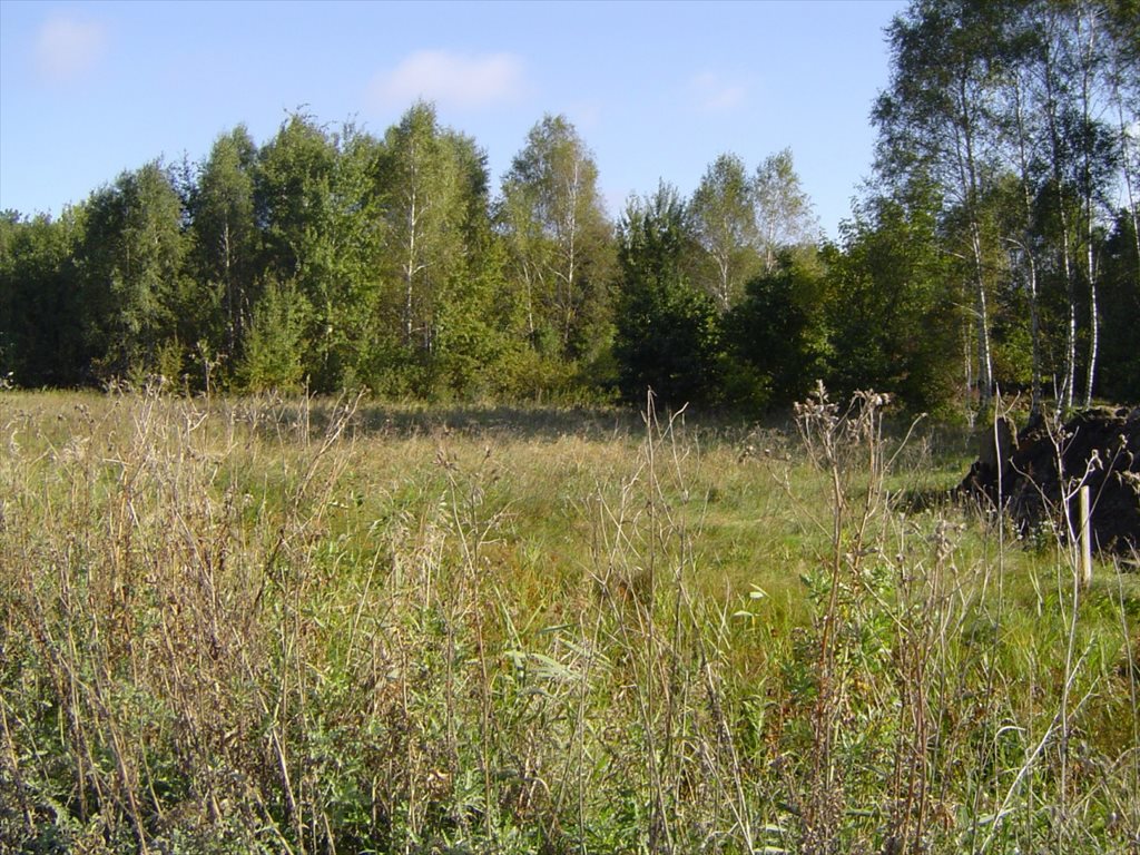 Działka budowlana na sprzedaż Otwock, Mlądz  7 050m2 Foto 1