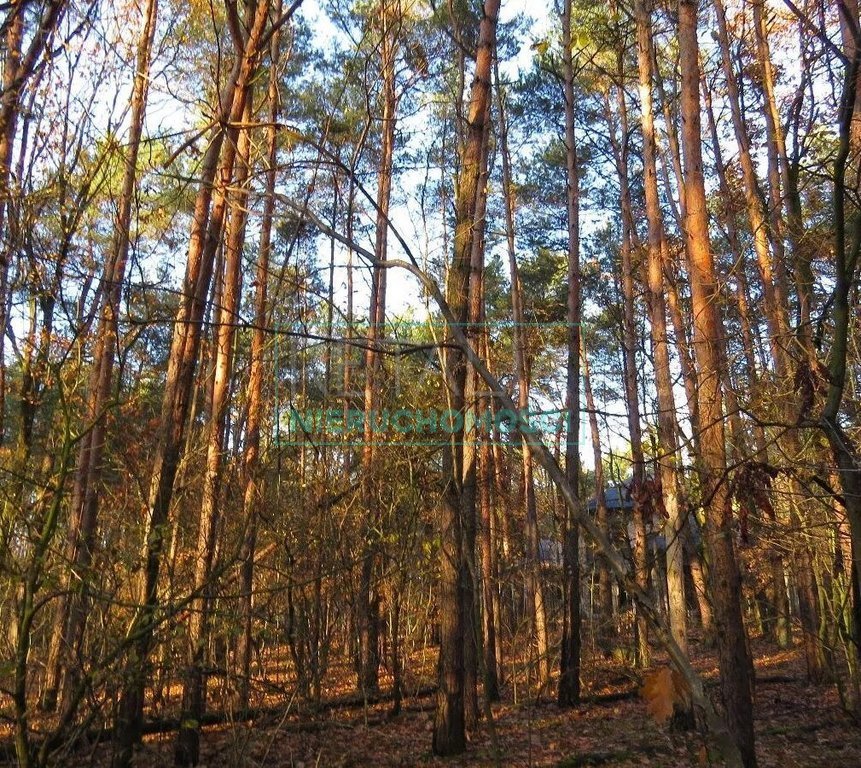 Działka leśna z prawem budowy na sprzedaż Sękocin-Las  2 100m2 Foto 1