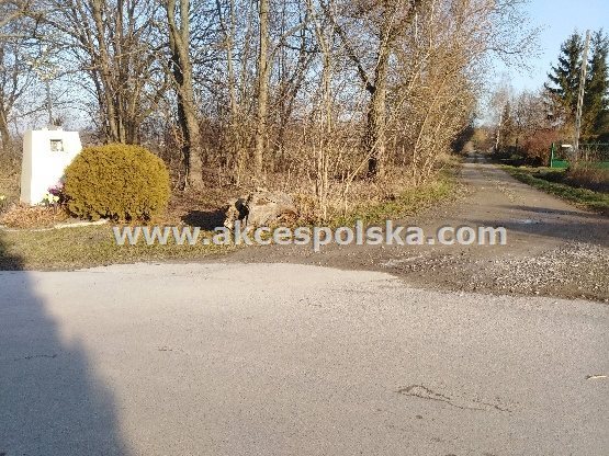 Do sprzedania działka 6248 m² z lasem i mediami Barcice Drwalewskie, Leśna  6 248m2 Foto 1