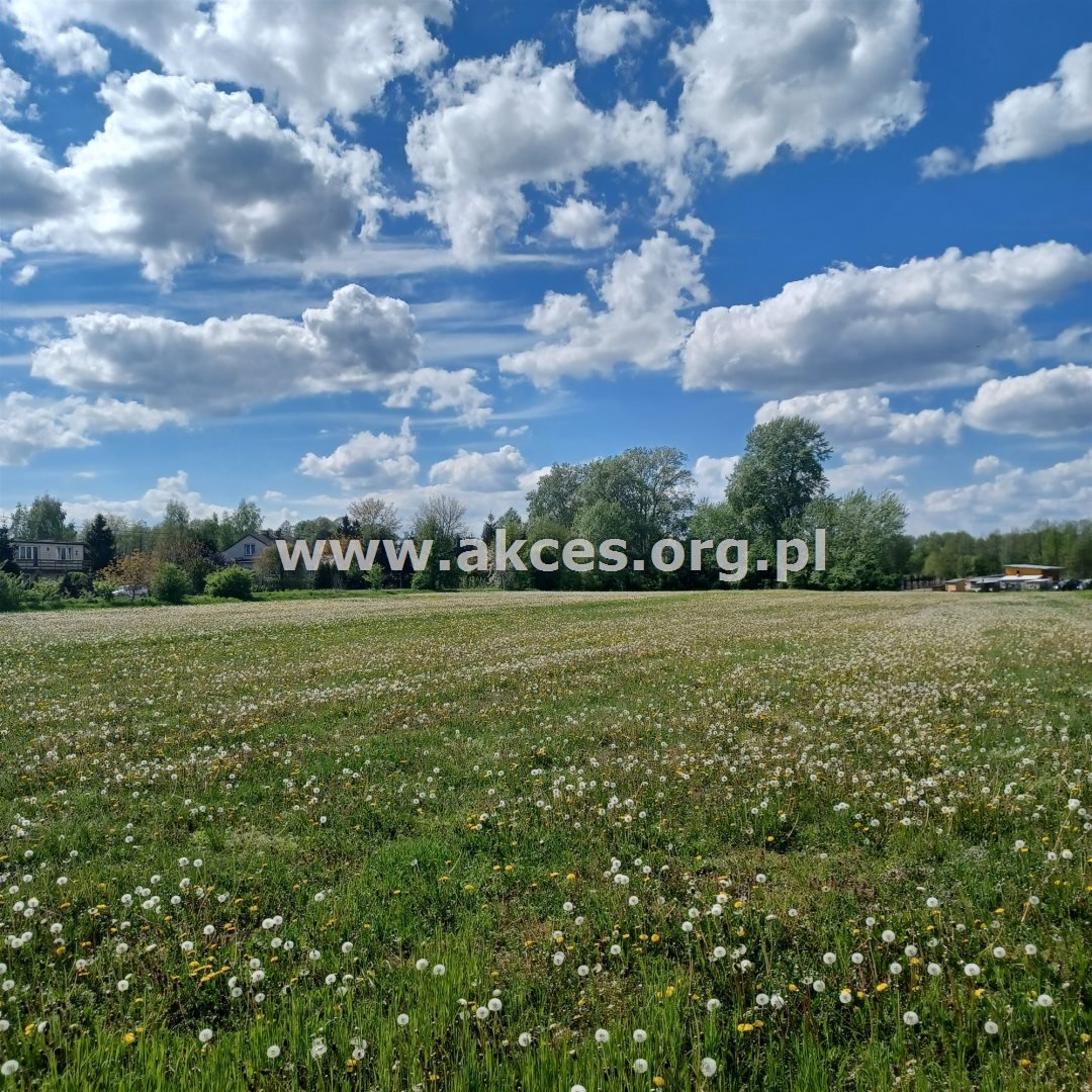 Działka inna na sprzedaż Warpęsy  16 600m2 Foto 6