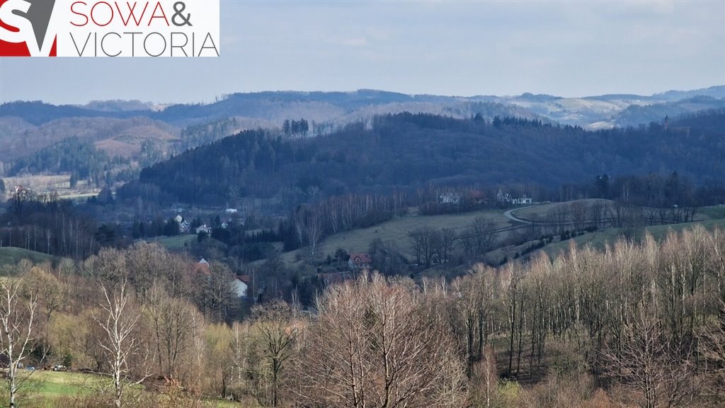 Działka budowlana na sprzedaż Zagórze Śląskie  2 100m2 Foto 6