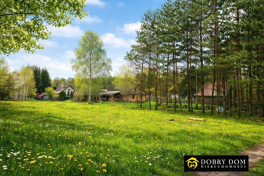Działki pod zabudowę w Białowieży, 1109 m², media, WZ Białowieża  1 109m2 Foto 1