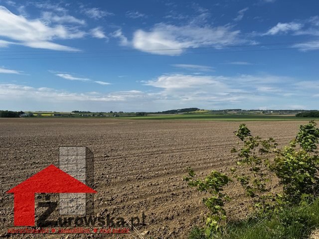 Działka inwestycyjna na sprzedaż Leśnica, Dolna  20 000m2 Foto 6