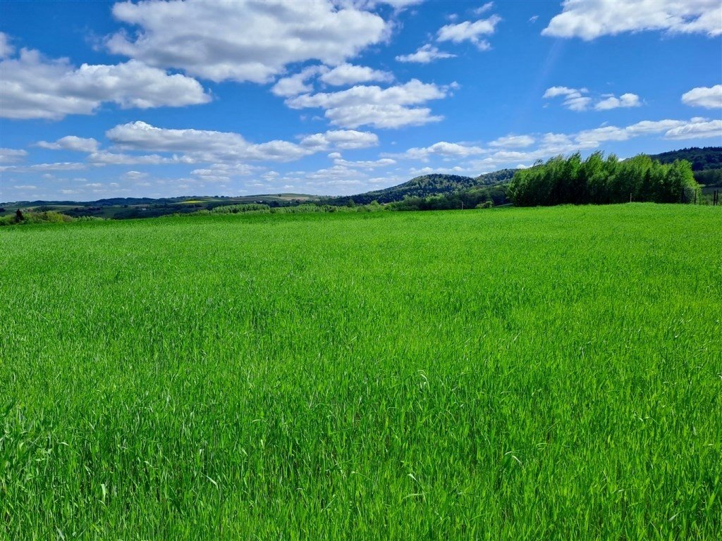 Urokliwa działka 3000 m² z widokiem na las w Wielopolu Wielopole Skrzyńskie  3 000m2 Foto 1