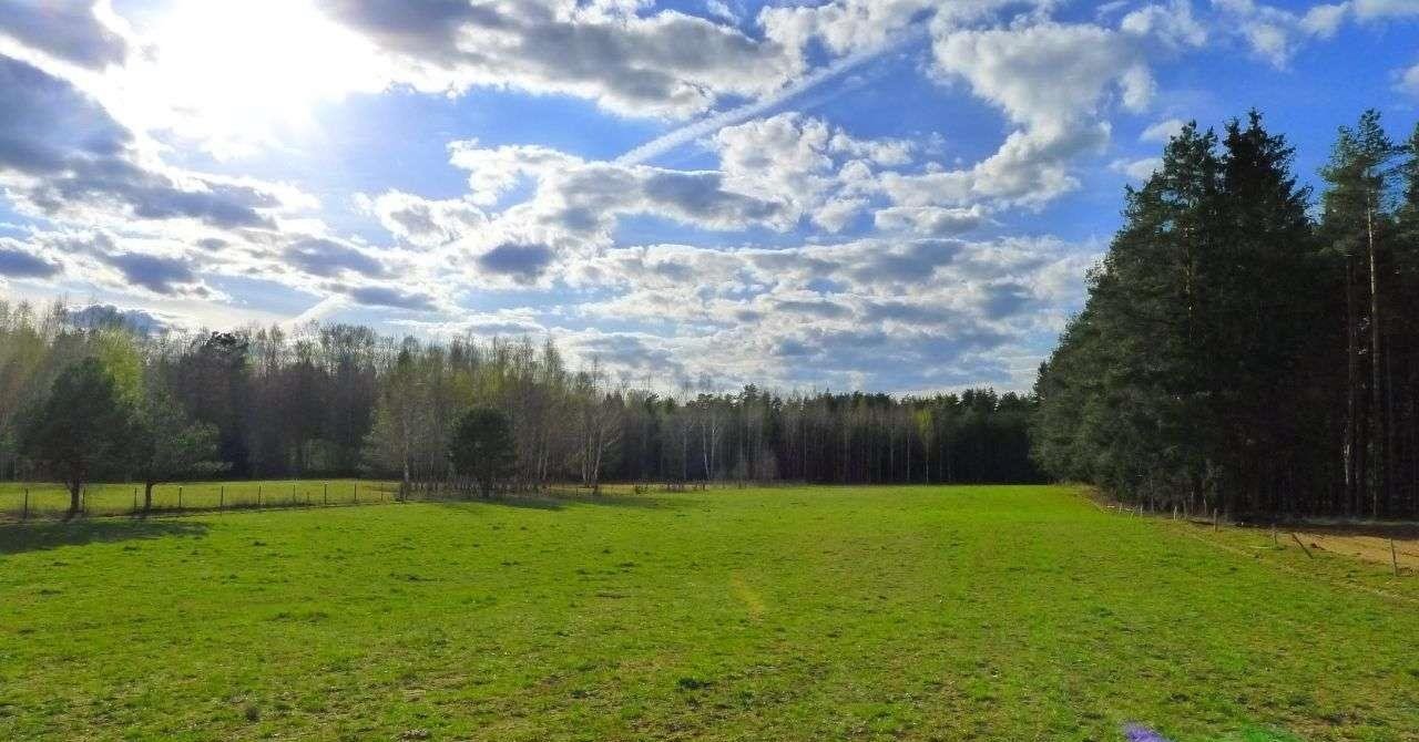 Działka rolna na sprzedaż Walne  3 500m2 Foto 14