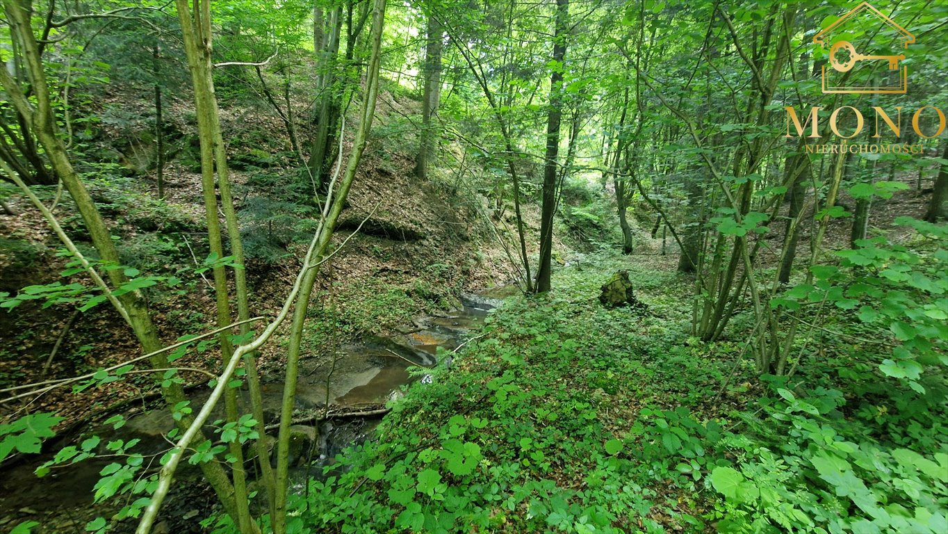 Działka budowlana na sprzedaż Wojakowa  2 000m2 Foto 11