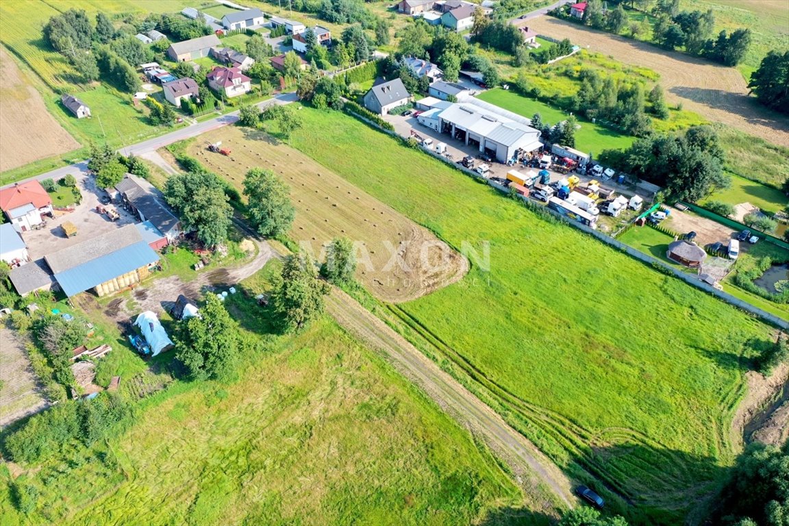 Działka budowlana na sprzedaż Walendów  5 478m2 Foto 6