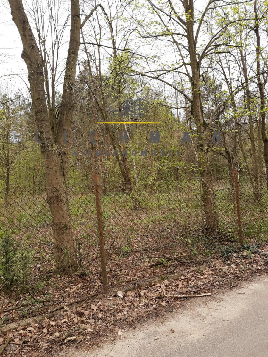 Działki rekreacyjne w Cyprianowie – las, 750 m2, blisko Łodzi Cyprianów  752m2 Foto 1