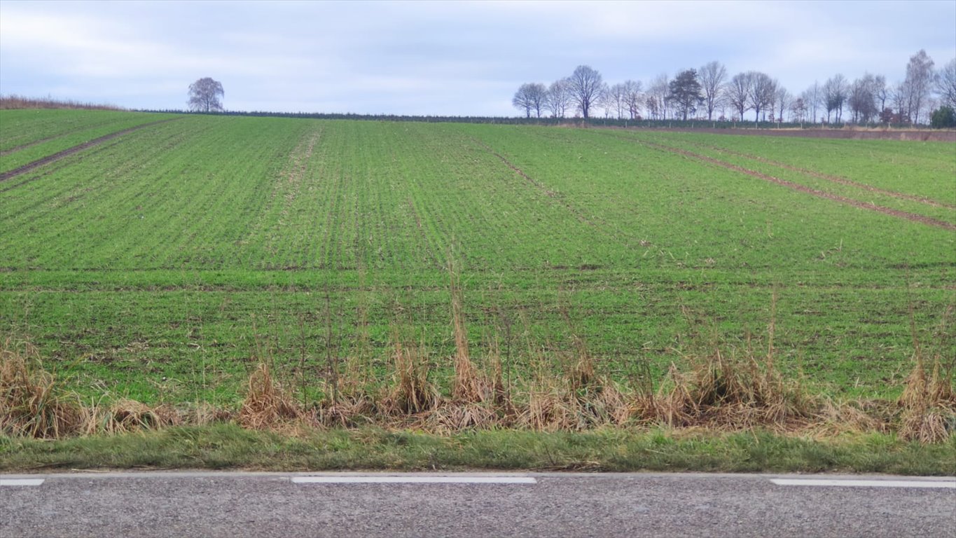 Działka rolna na sprzedaż Kuleszewo  26 163m2 Foto 2