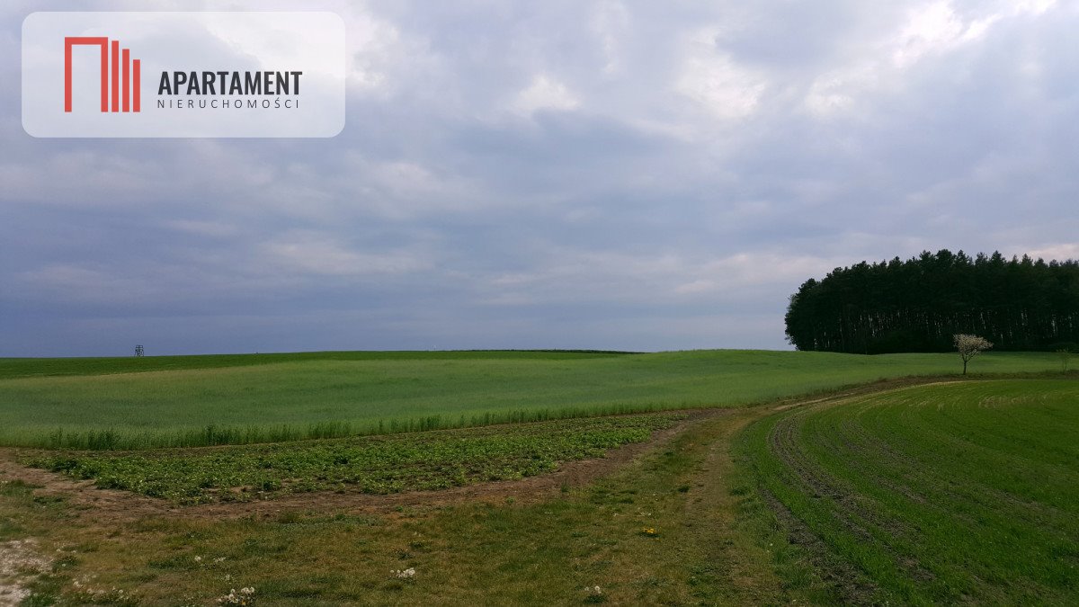 Działka budowlana na sprzedaż Maksymilianowo, Okrężna  1 000m2 Foto 2