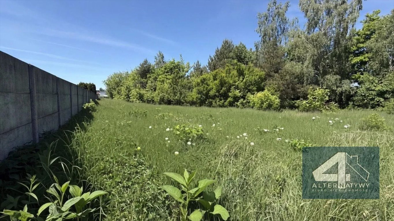 Zapraszam do obejrzenia dużej działki 2445 m² z MPZP w Michałowie Michałów  2 443m2 Foto 1
