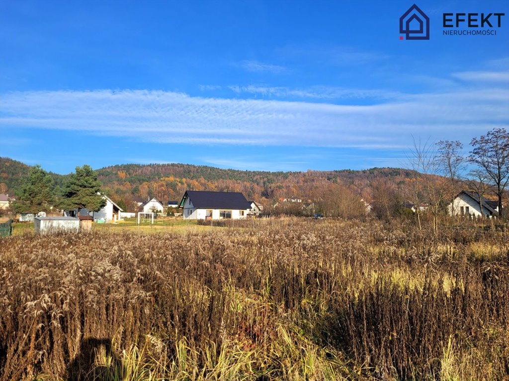 Działka budowlana na sprzedaż Zagórze  1 000m2 Foto 1