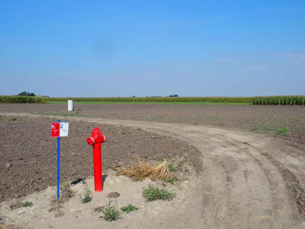 Działka budowlana na sprzedaż Ceradz Dolny  2 206m2 Foto 9