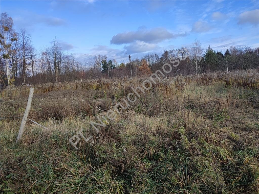 Działka budowlana na sprzedaż Żółwin  1 000m2 Foto 6