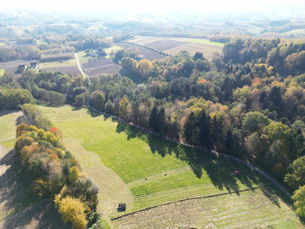 Działka budowlana na sprzedaż Błażkowa  2 559m2 Foto 14