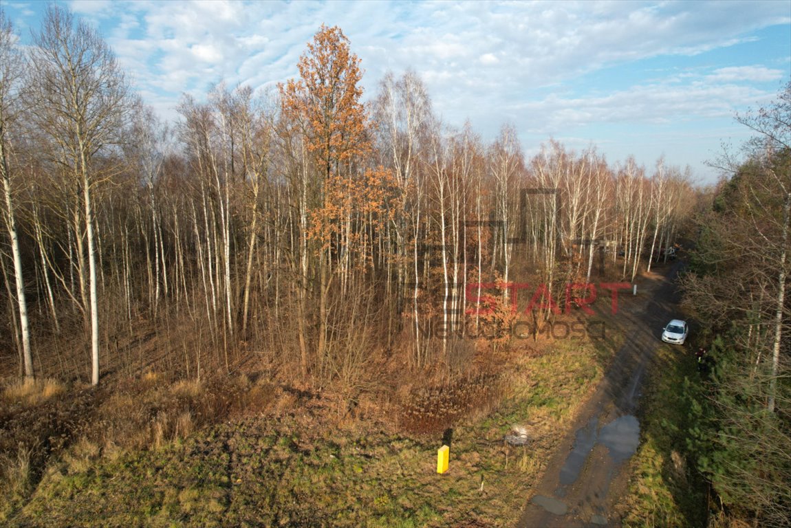 Działka budowlana na sprzedaż Adamowizna  1 500m2 Foto 3