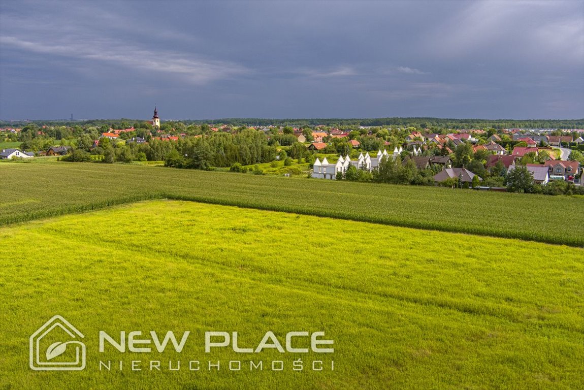 Działka inwestycyjna na sprzedaż Wilkszyn  3 000m2 Foto 4