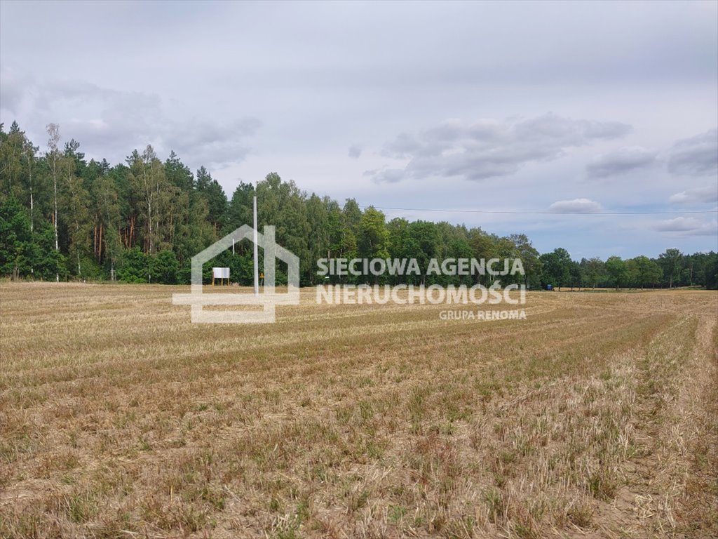 Działka siedliskowa na sprzedaż Grabowo  3 271m2 Foto 5