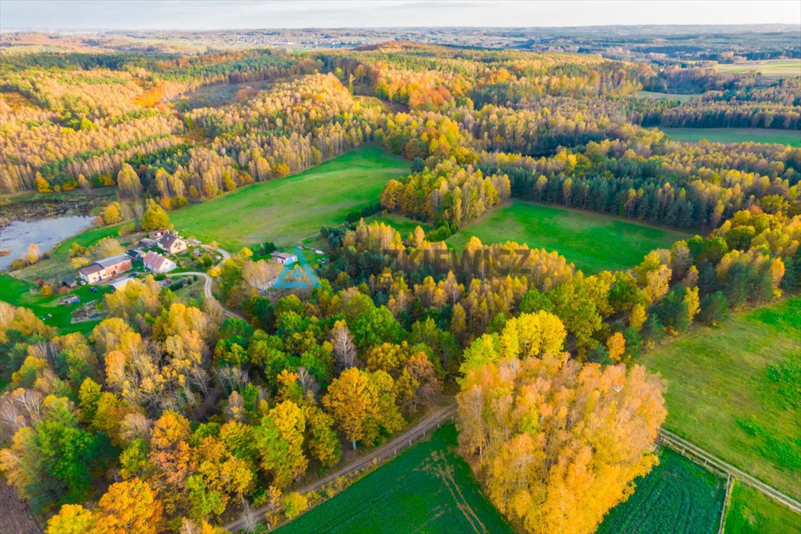 Działka budowlana na sprzedaż Krosnowo  1 579m2 Foto 11