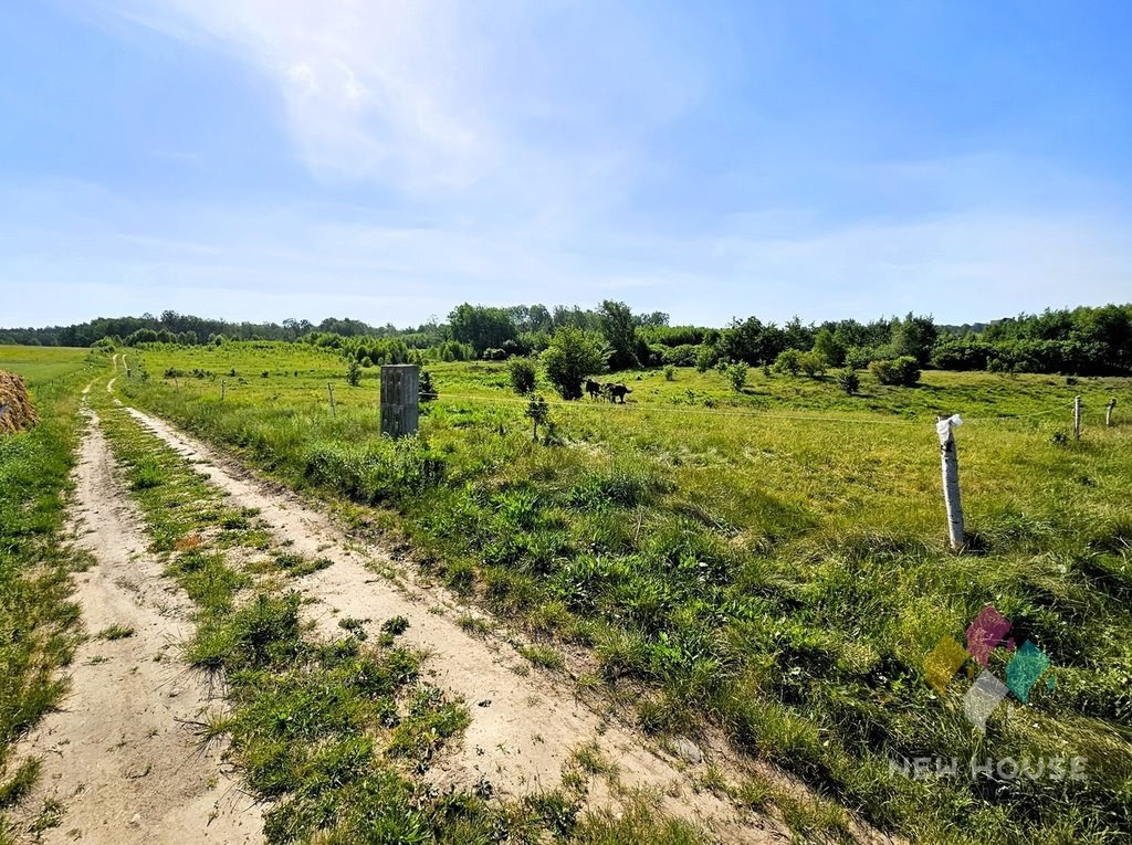 Działka budowlana na sprzedaż Elgnówko  3 901m2 Foto 2