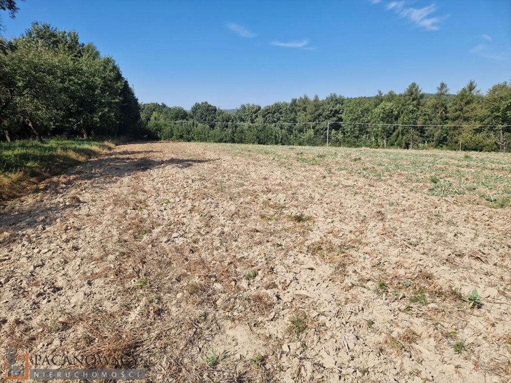 Działka siedliskowa 1634 m² w Narama – spokojna okolica Narama  1 634m2 Foto 1