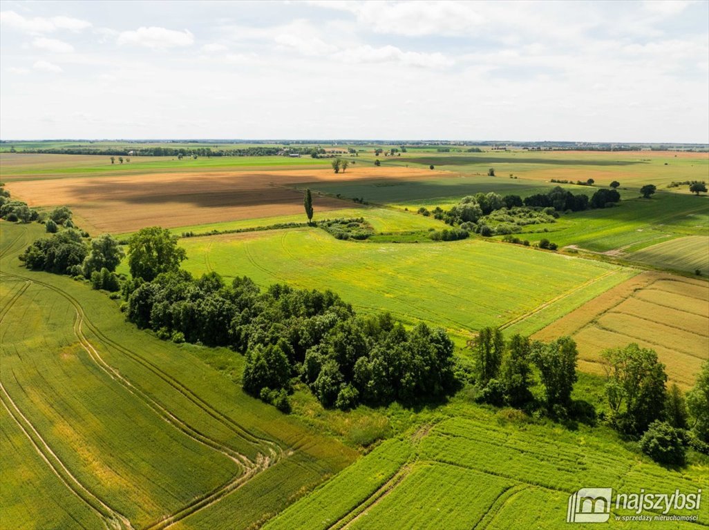 Działka rolna na sprzedaż Obromino  21 701m2 Foto 11