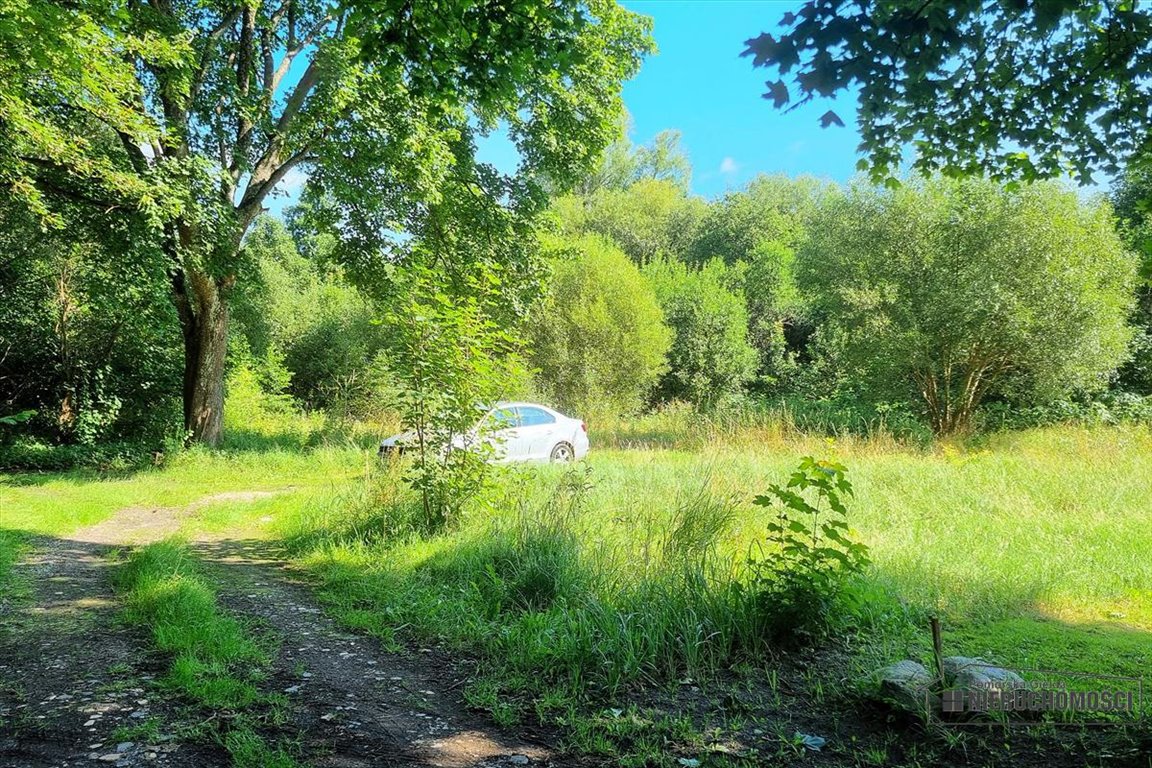 Działka budowlana na sprzedaż Krosino  2 700m2 Foto 11