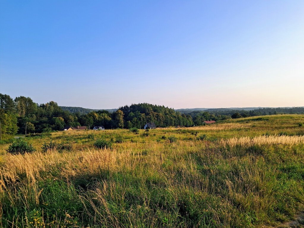 Działka przemysłowo-handlowa na sprzedaż Maks  7 280m2 Foto 1