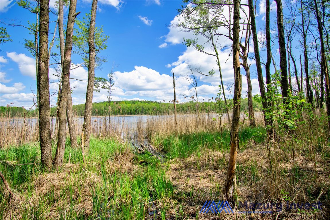 Działka budowlana na sprzedaż Dębówko  26 986m2 Foto 13