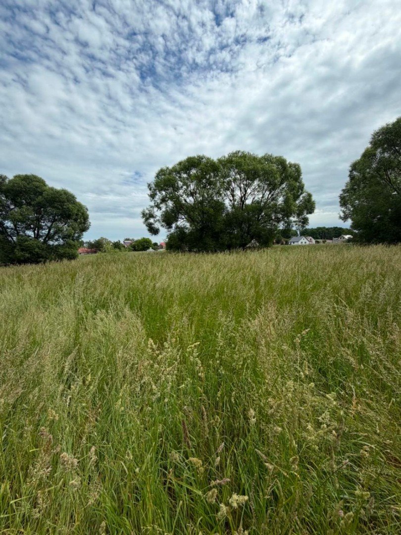 Działka 1500 m² w Biebrzy, cisza i natura - polecam! Dawidowizna, 31 a  1 500m2 Foto 1