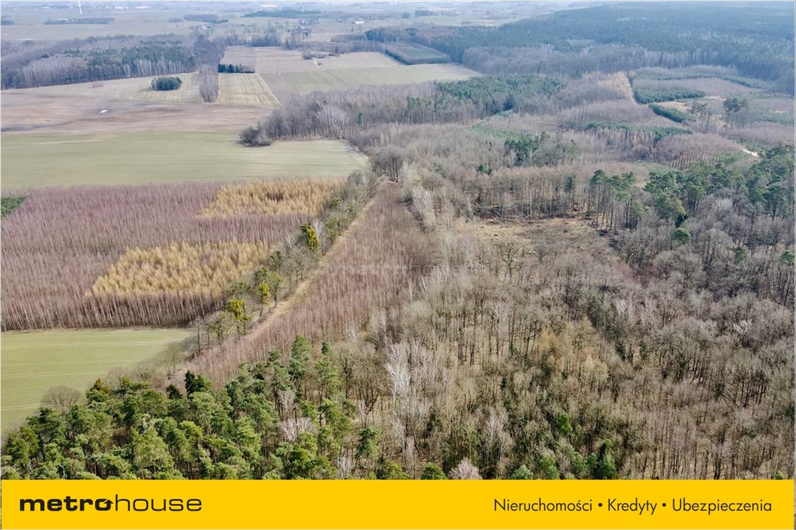 Sprzedam działkę Ogrodzieniec Kisielice , 7800 m2, 59000 PLN