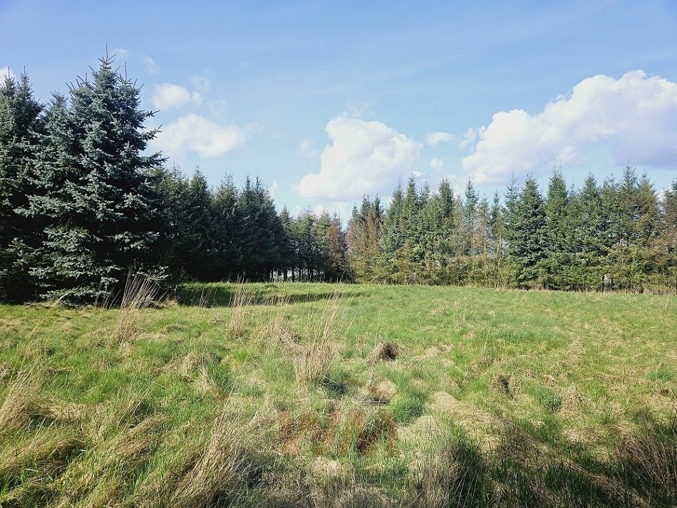 Działka budowlana na sprzedaż Pniewy  29 501m2 Foto 16