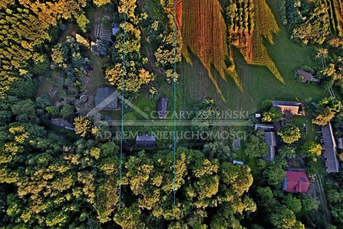 Lokal użytkowy na sprzedaż Poniatowa, Leśniczówka, Leśniczówka  21 671m2 Foto 3