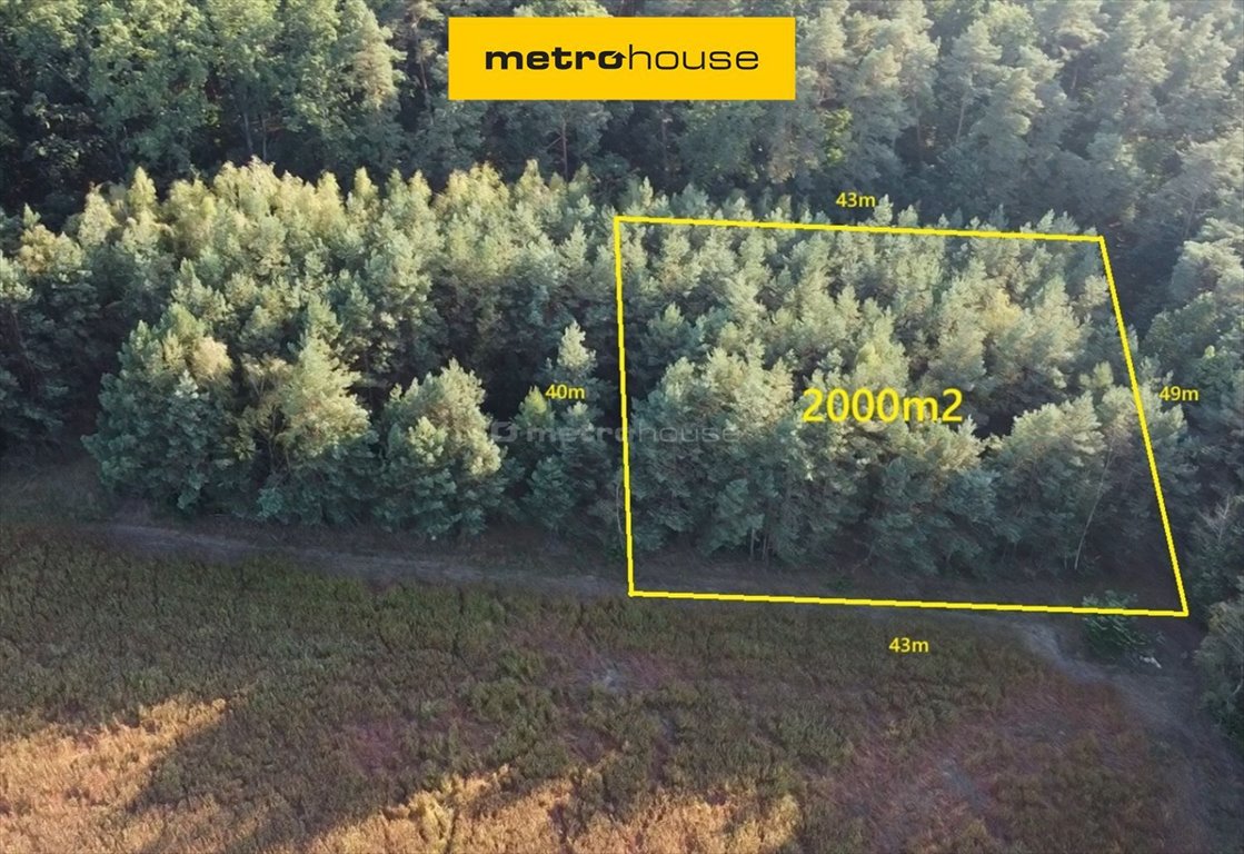 Działka budowlana na sprzedaż Zalesie Borowe  2 000m2 Foto 1
