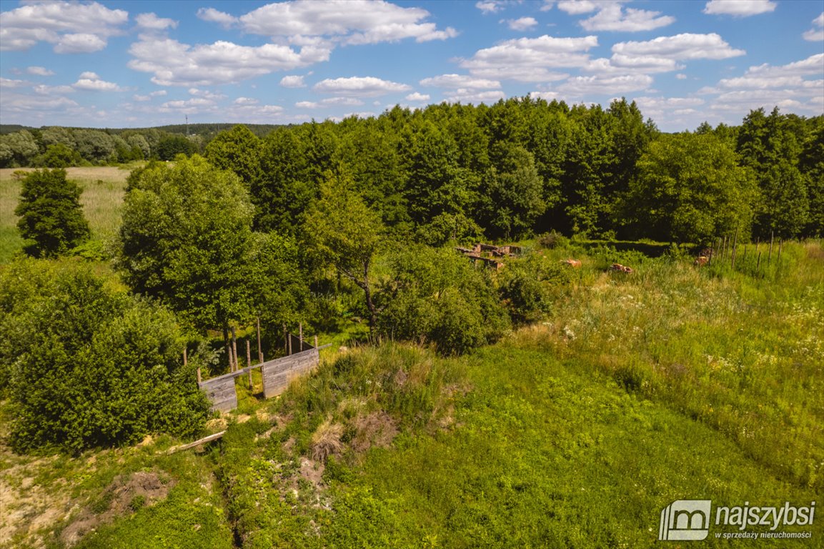 Dom na sprzedaż Chojna, Barnkowo  217m2 Foto 23