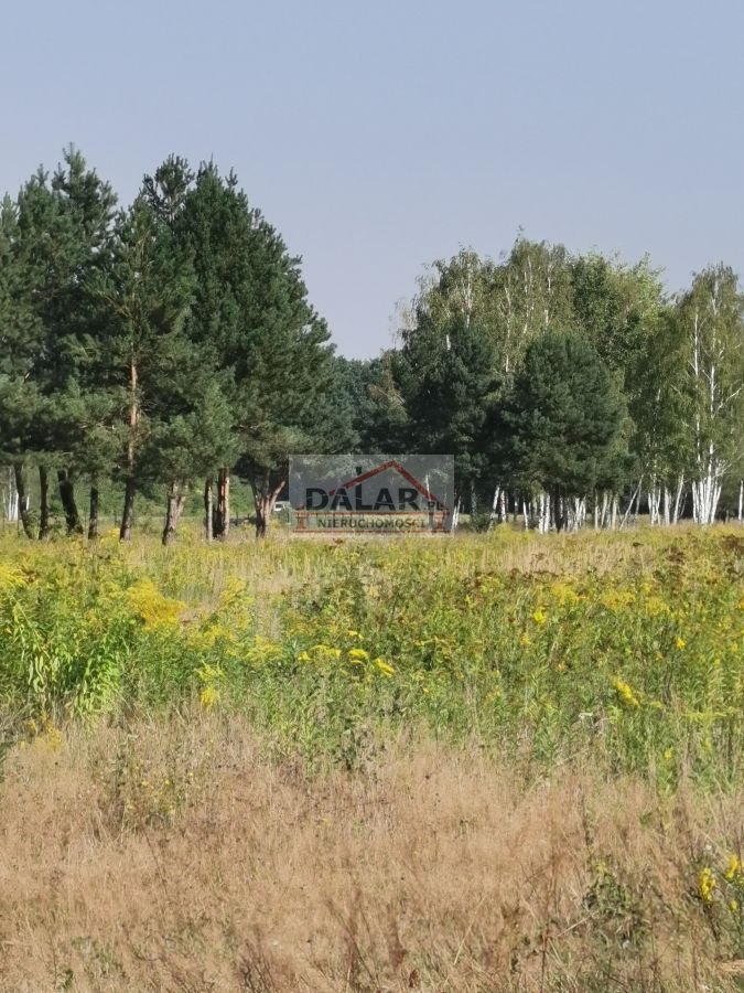 Działka budowlana na sprzedaż Zawodne  1 200m2 Foto 1