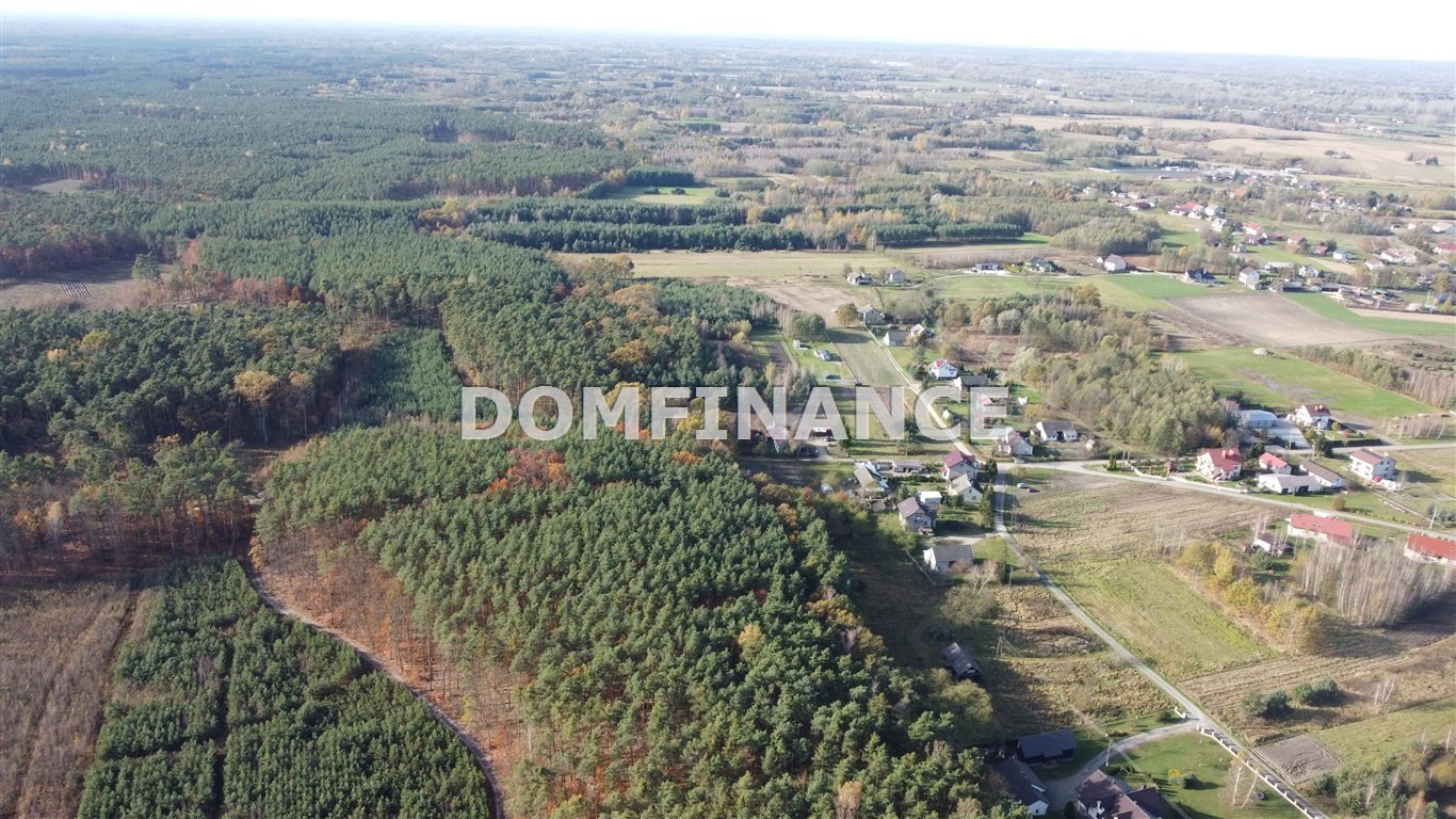 Działka budowlana na sprzedaż Lubasz  4 500m2 Foto 11