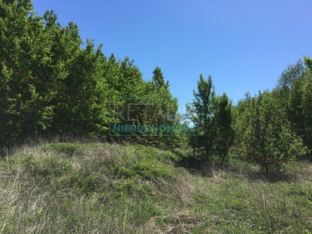 Działka budowlana na sprzedaż Krakowiany  20 000m2 Foto 3