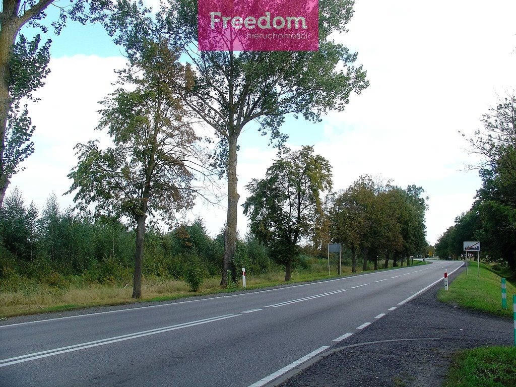 Działka budowlana na sprzedaż Cisy 1 511m2 Foto 1 Działka budowlana na sprzedaż Cisy 1 511m2 Foto 1