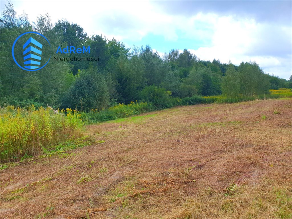 Działka z pozwoleniem na budowę i infrastrukturą w Brześcach Brześce  21 380m2 Foto 1