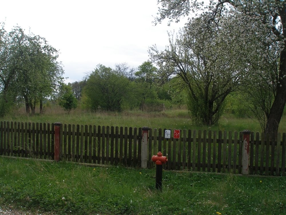 Działka budowlana na sprzedaż Kikorze  3 009m2 Foto 9