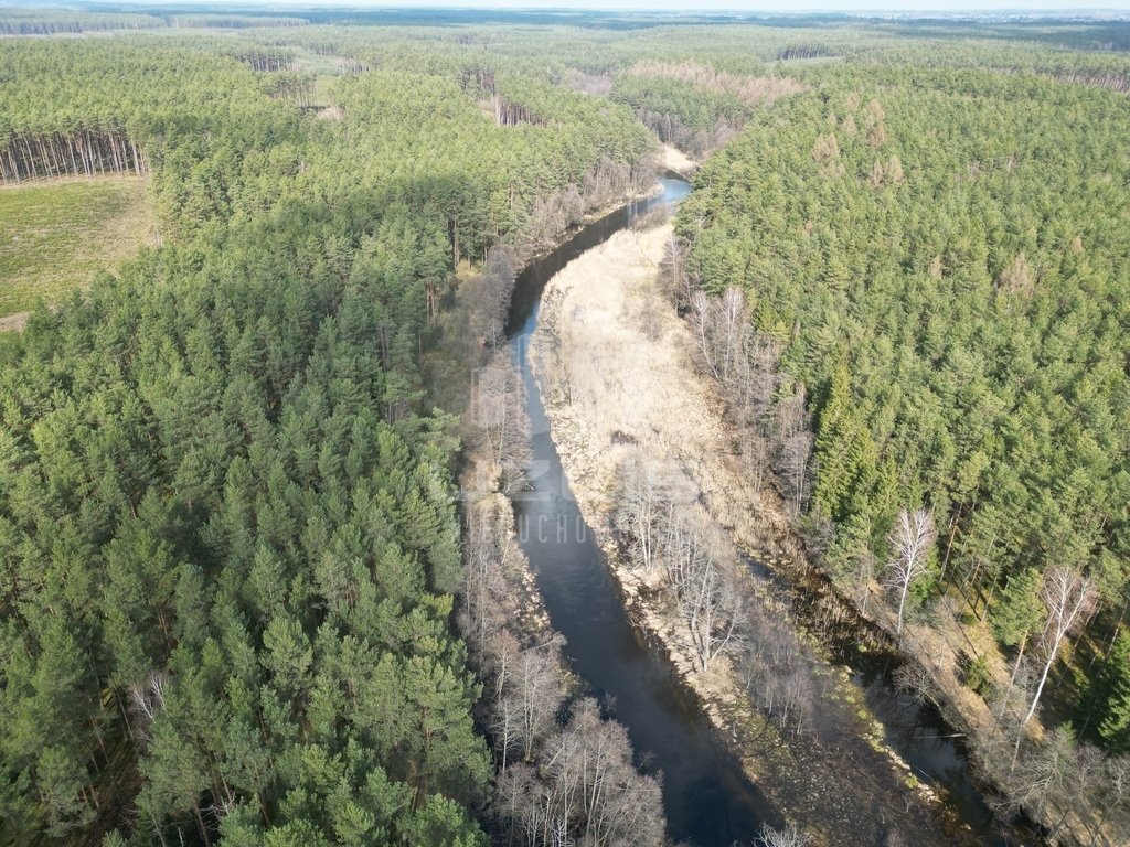 Działka leśna na sprzedaż Krępki  12 611m2 Foto 1